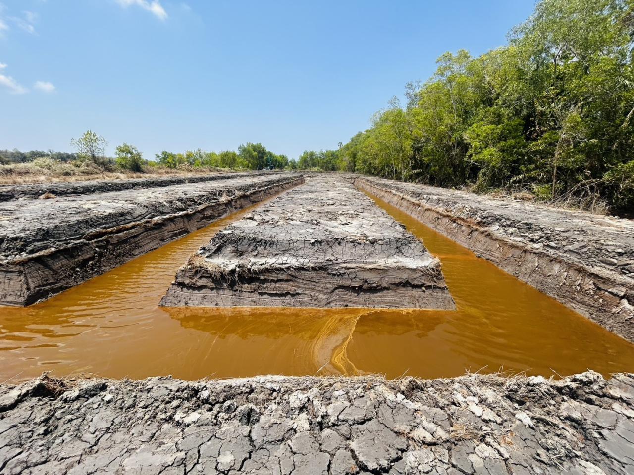 ภาพประกอบที่ 5