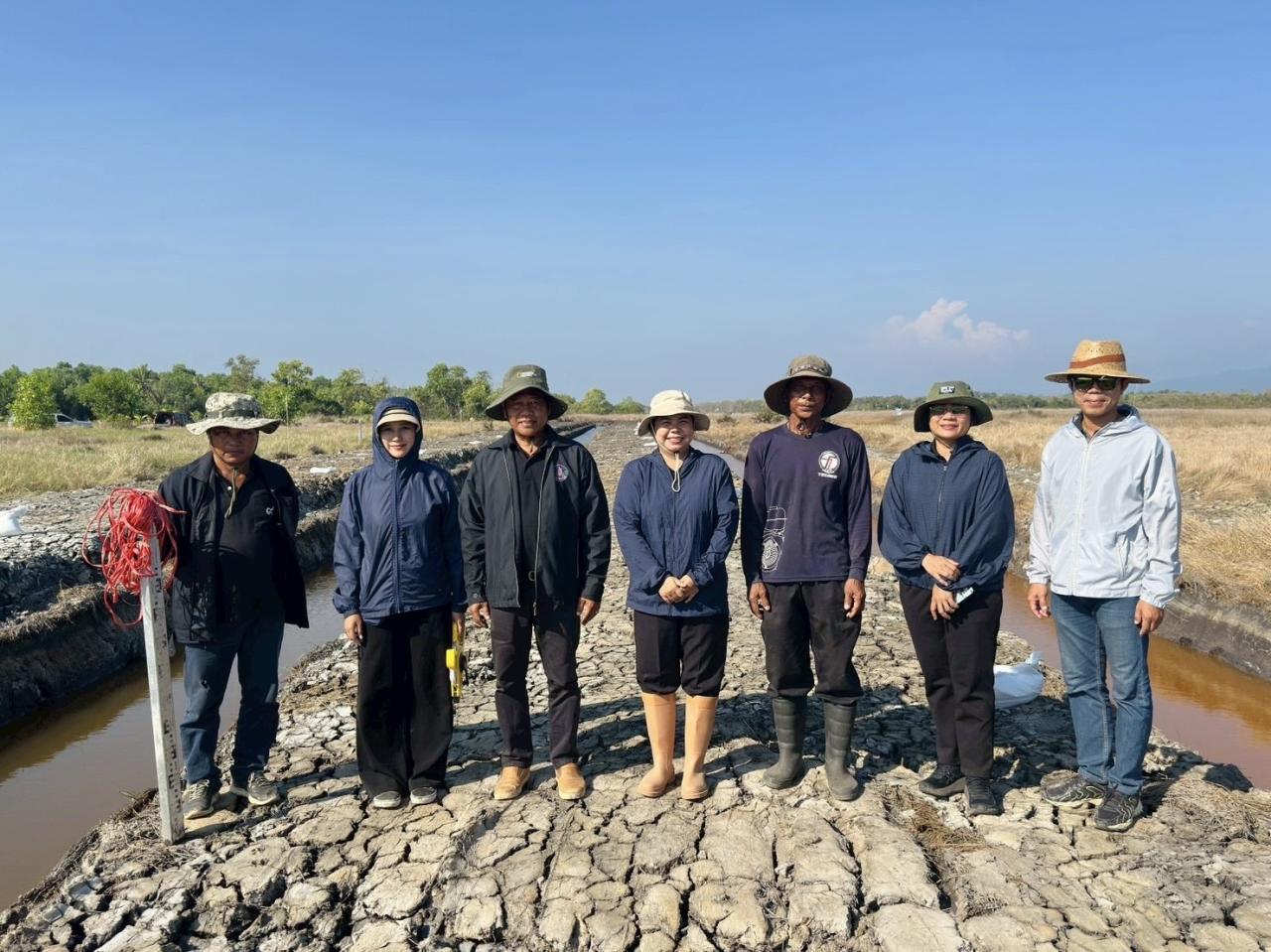 ภาพประกอบที่ 8