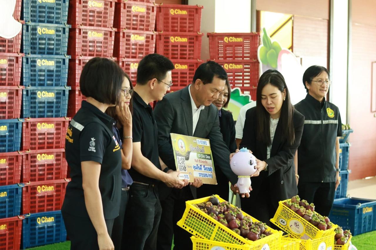 ภาพประกอบที่ 3