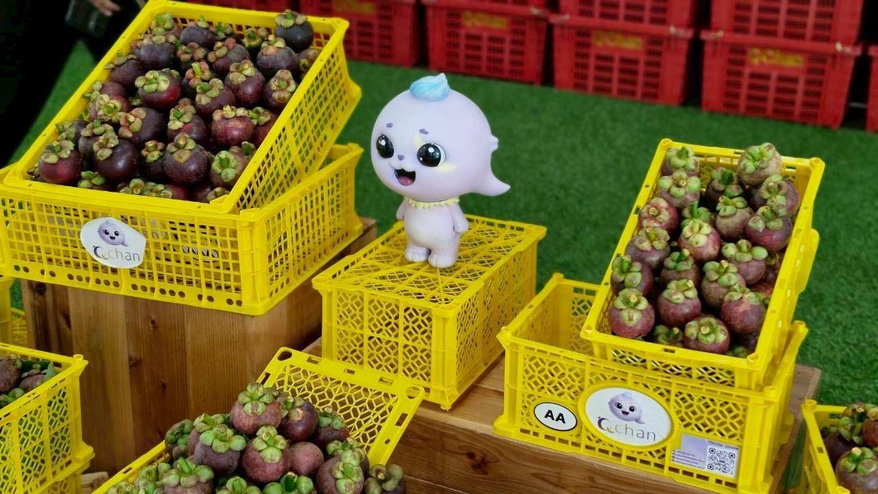 ภาพประกอบที่ 5