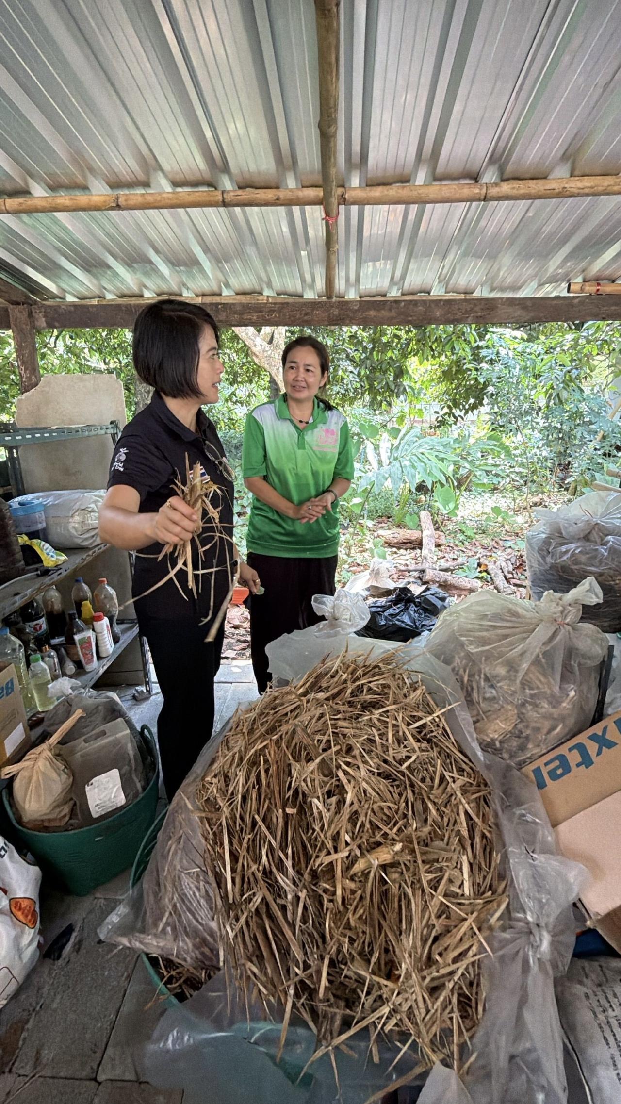 ภาพประกอบที่ 10