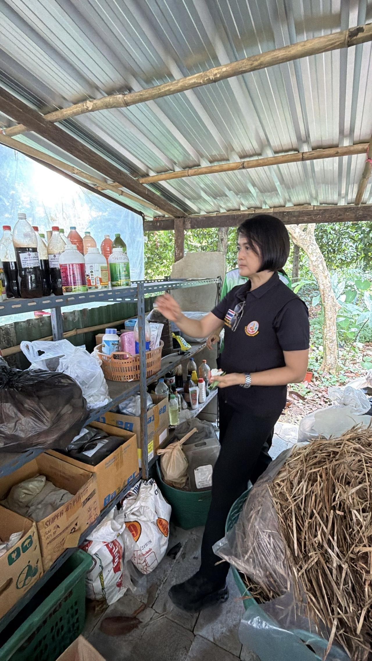 ภาพประกอบที่ 11