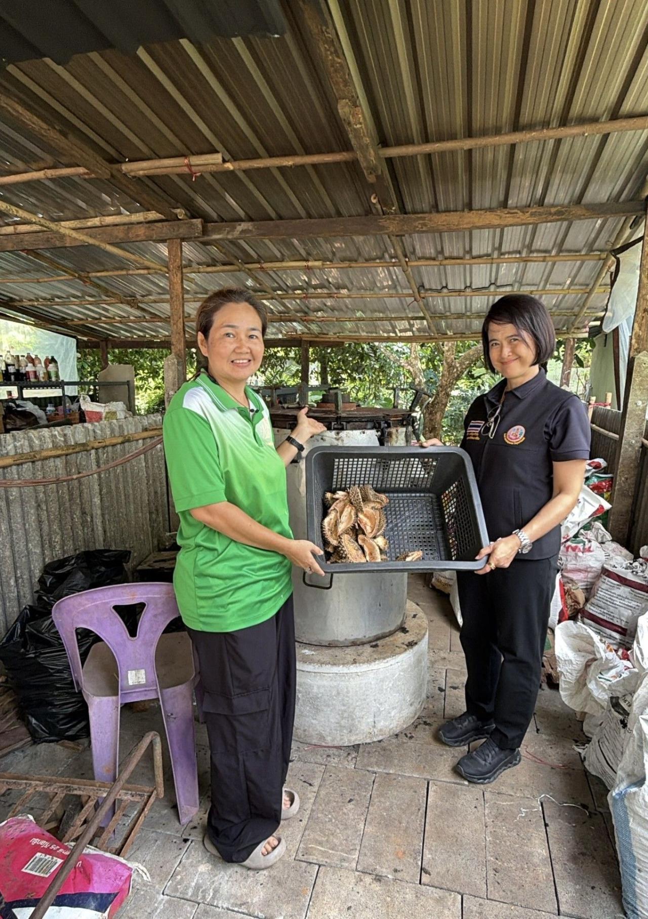 ภาพประกอบที่ 13
