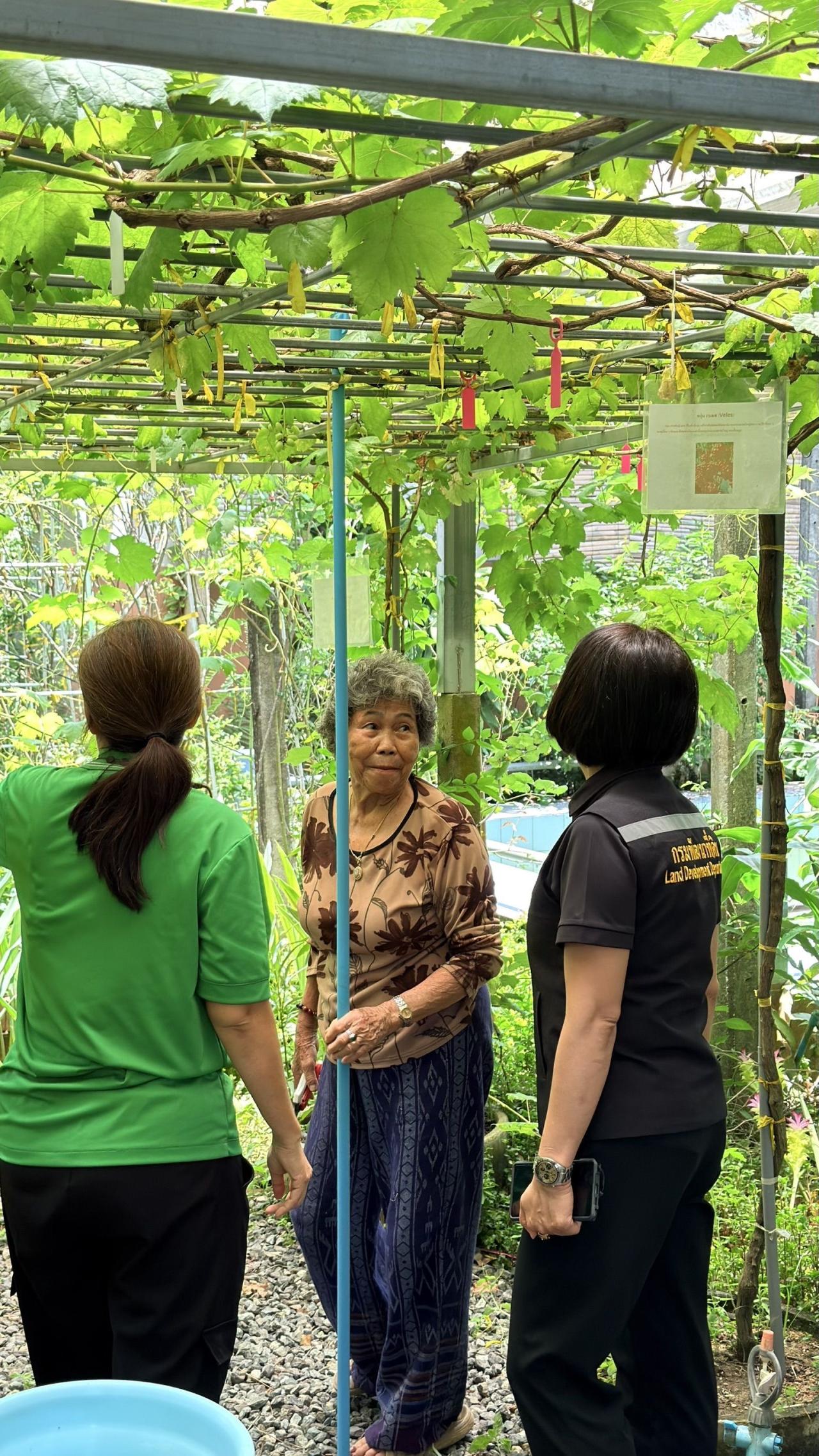 ภาพประกอบที่ 14