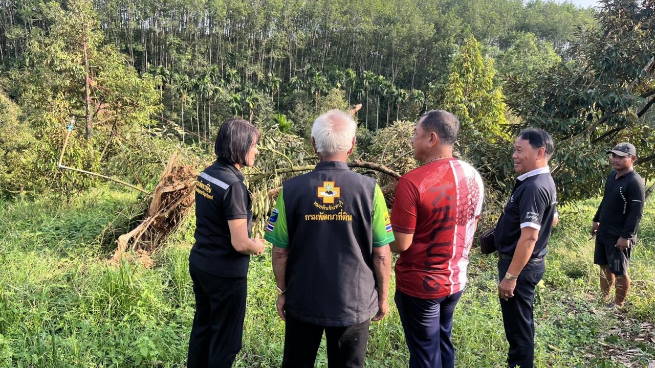 ภาพประกอบที่ 0