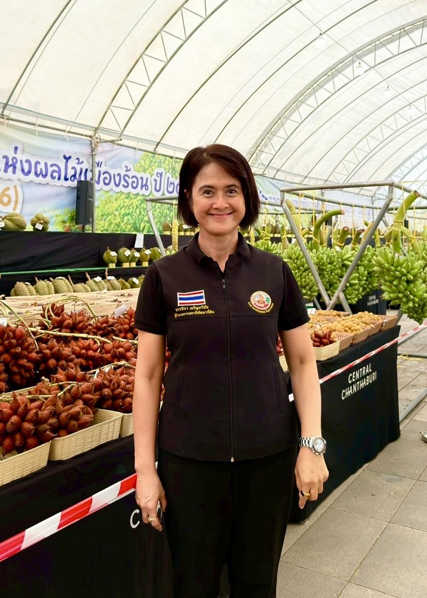 ภาพประกอบที่ 5