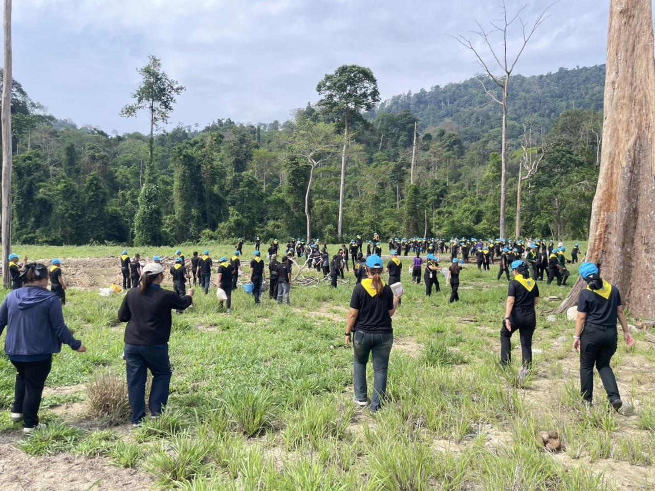 ภาพประกอบที่ 5