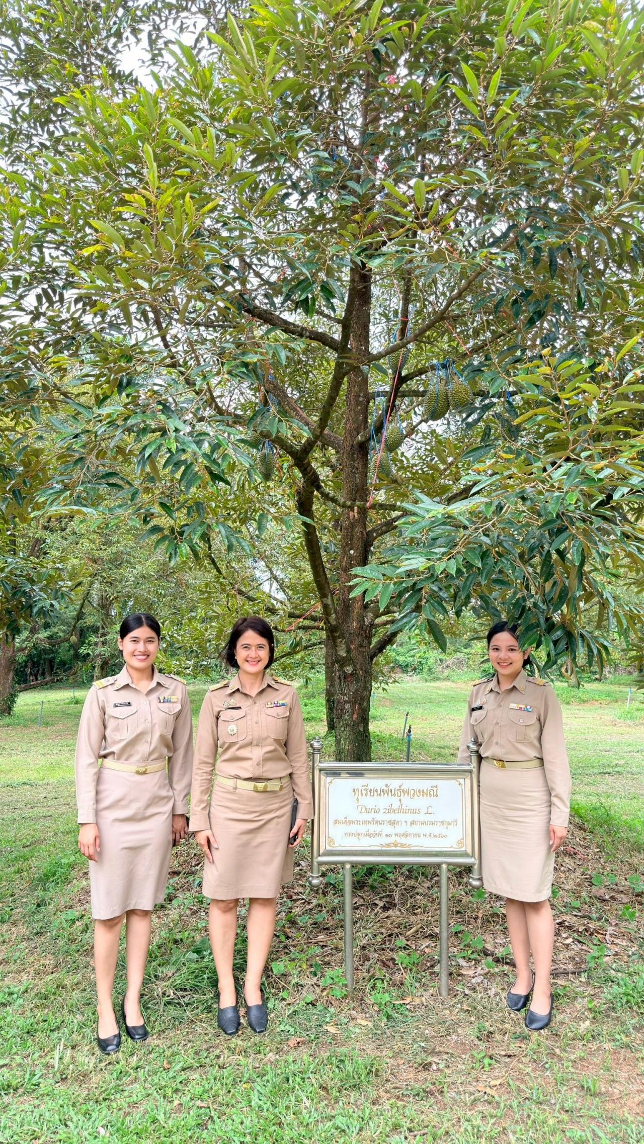 ภาพประกอบที่ 9
