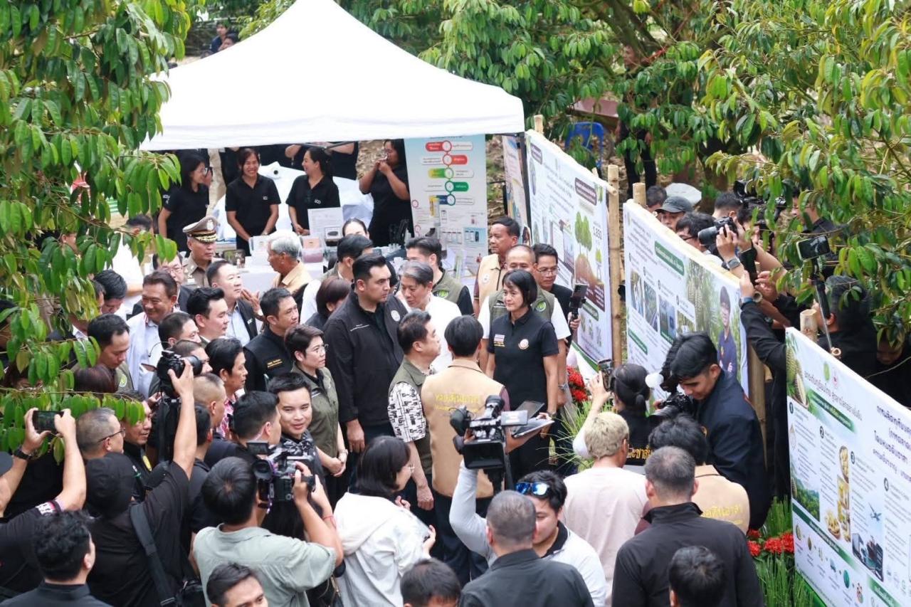 ภาพประกอบที่ 7