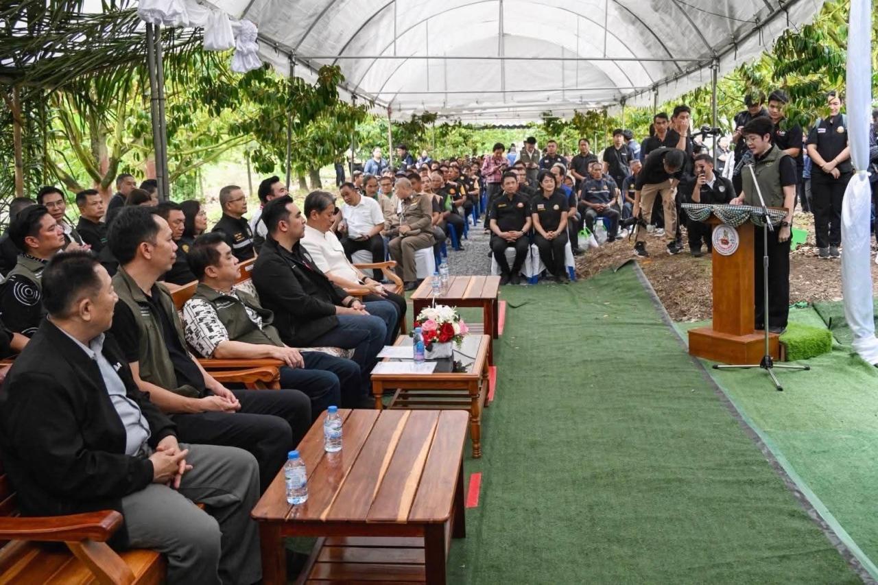 ภาพประกอบที่ 16