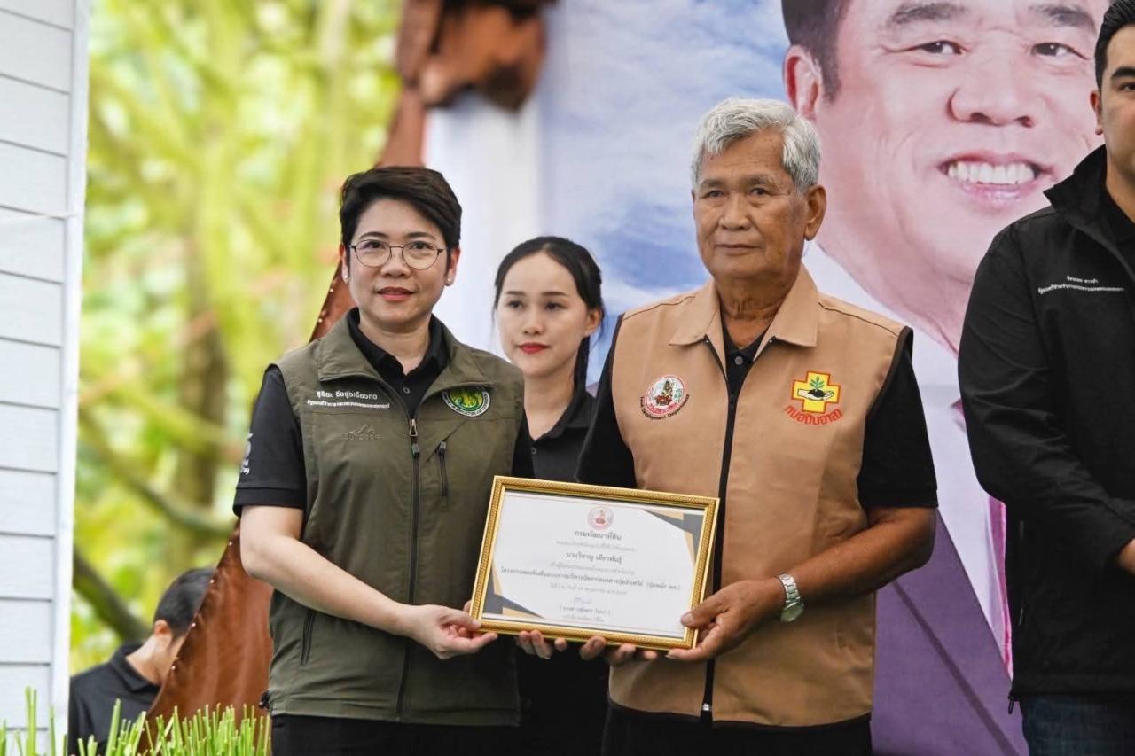 ภาพประกอบที่ 19