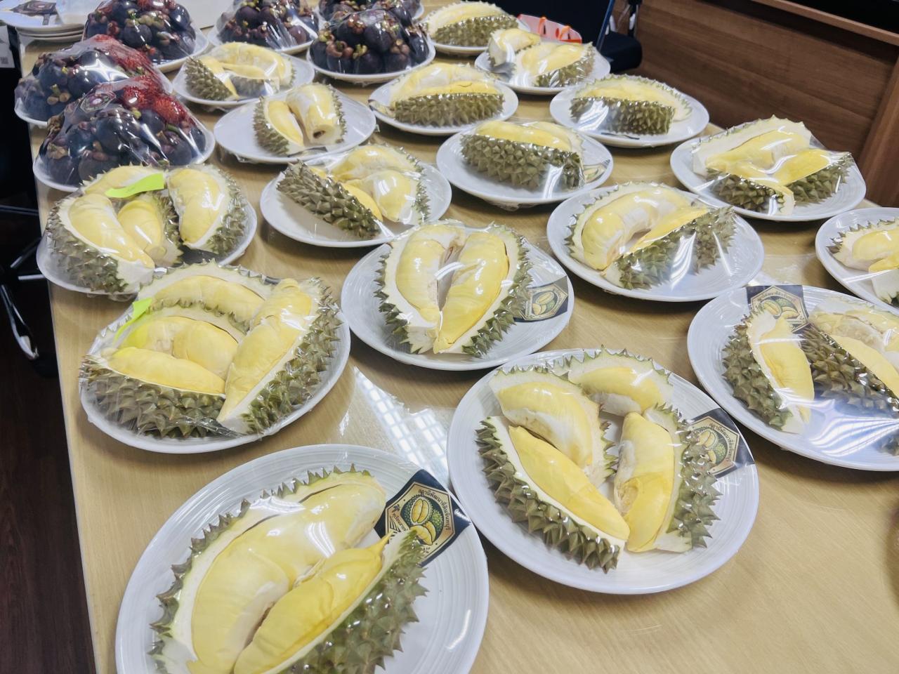 ภาพประกอบที่ 13