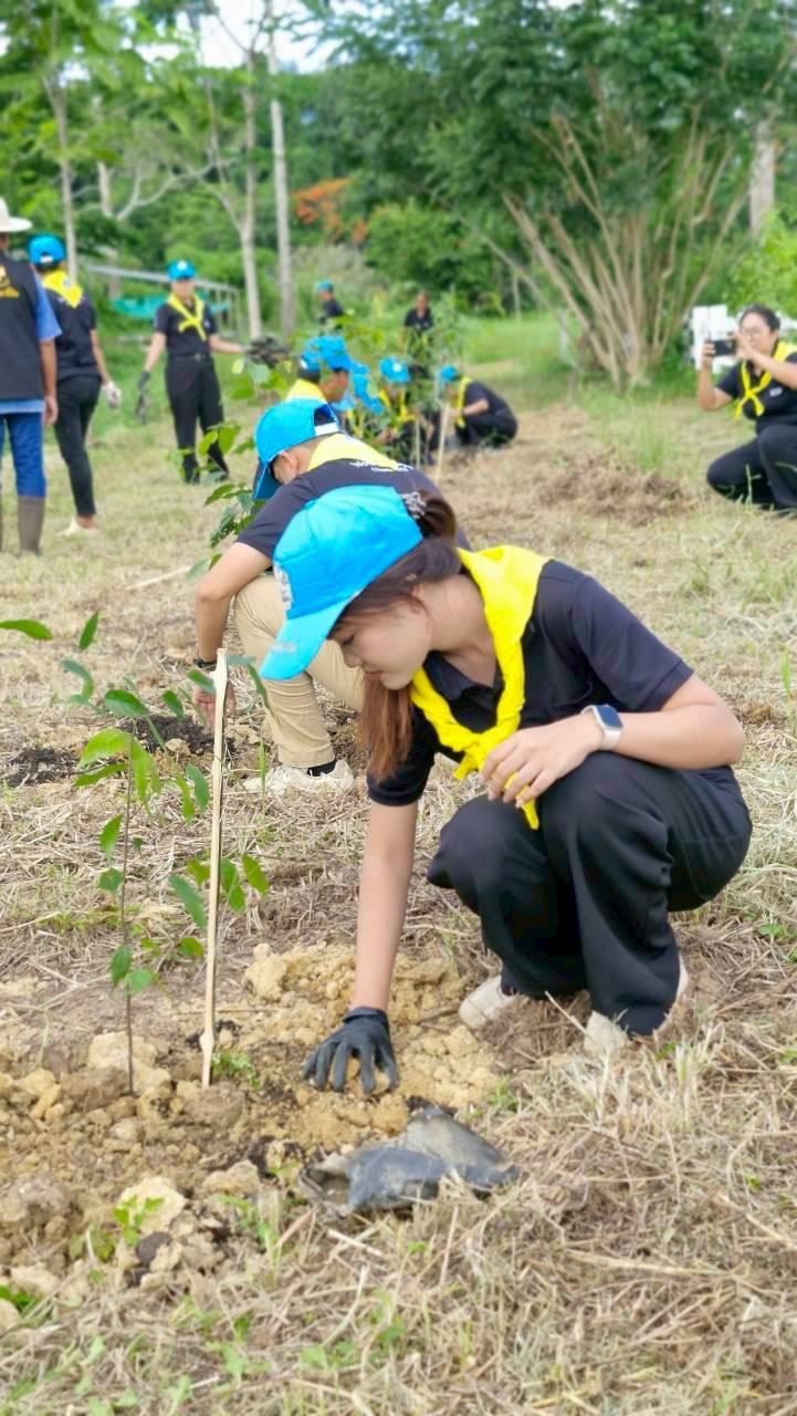 ภาพประกอบที่ 7
