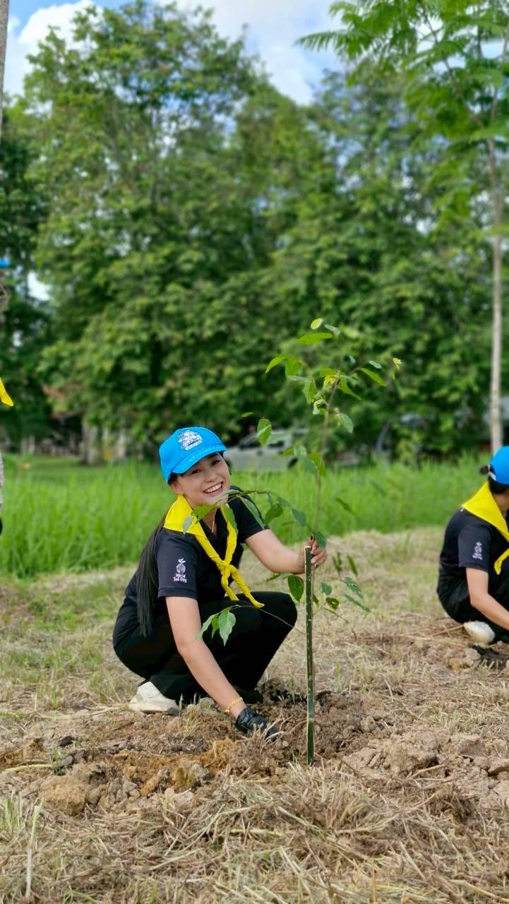 ภาพประกอบที่ 14