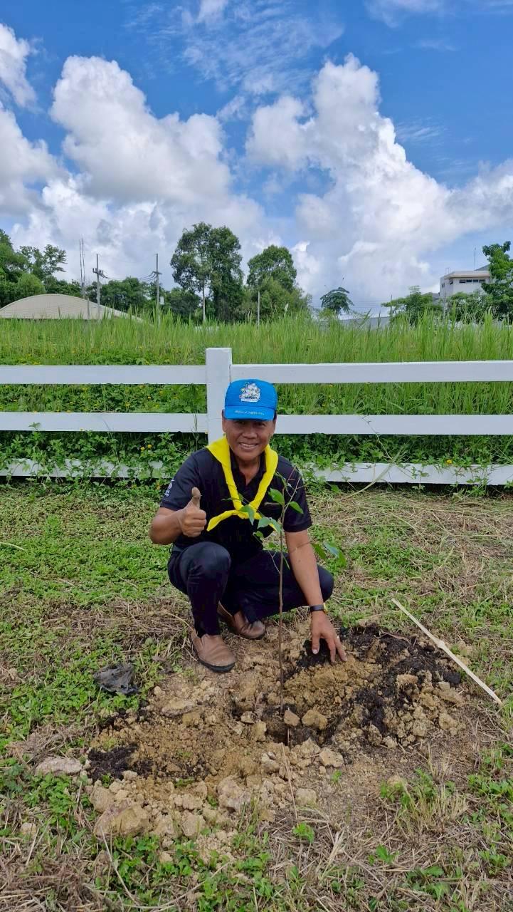 ภาพประกอบที่ 15