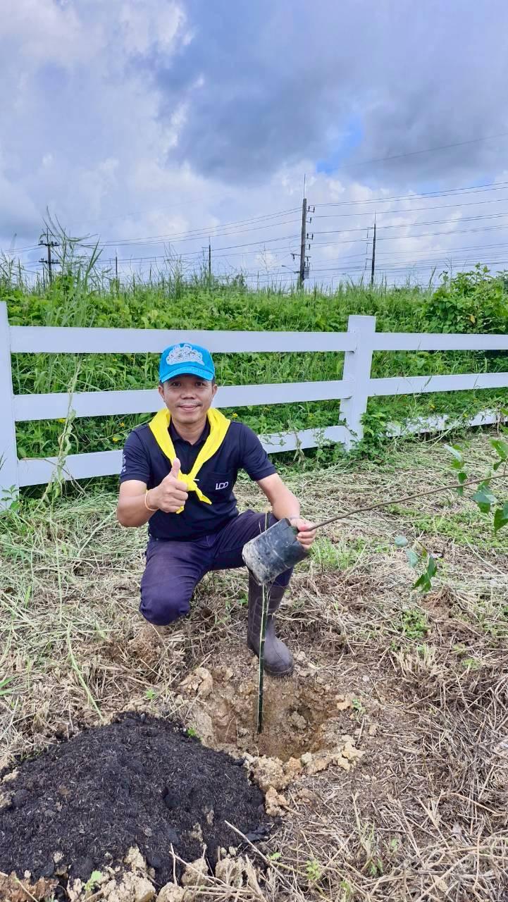 ภาพประกอบที่ 16