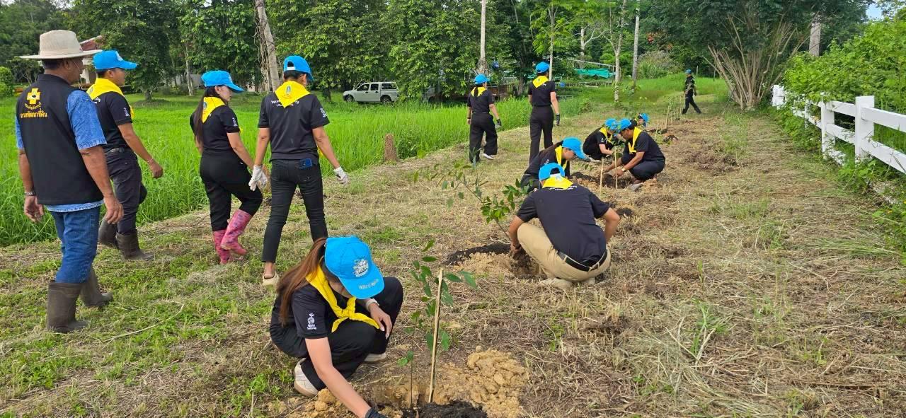 ภาพประกอบที่ 17
