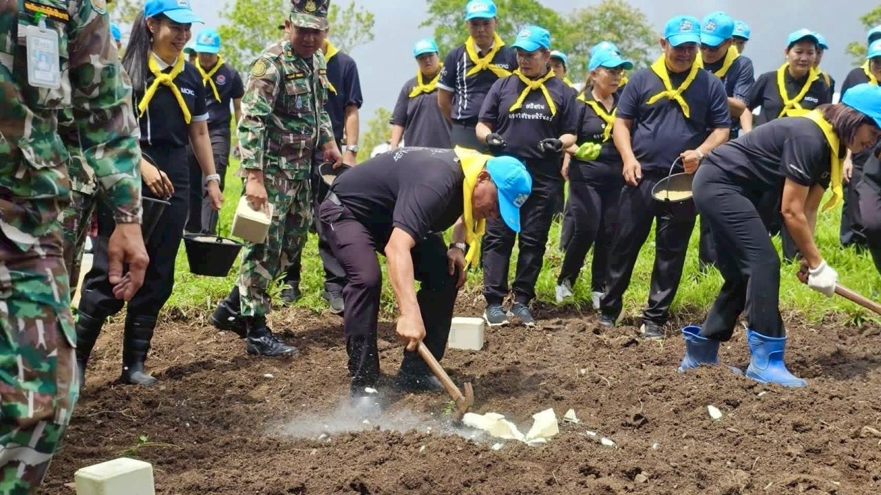 ภาพประกอบที่ 8