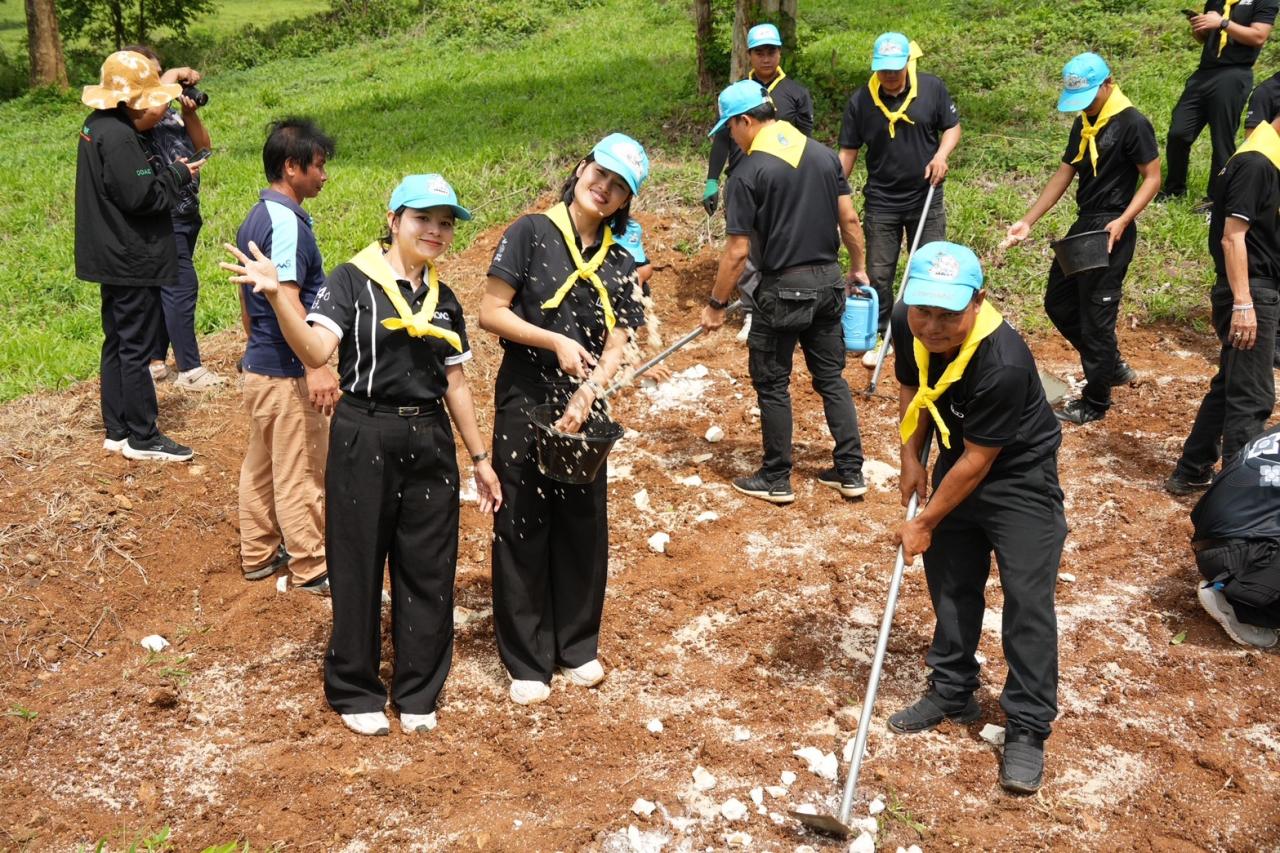 ภาพประกอบที่ 13