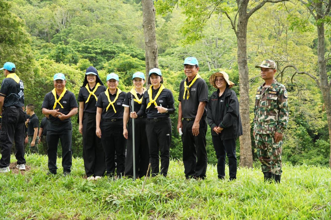 ภาพประกอบที่ 19