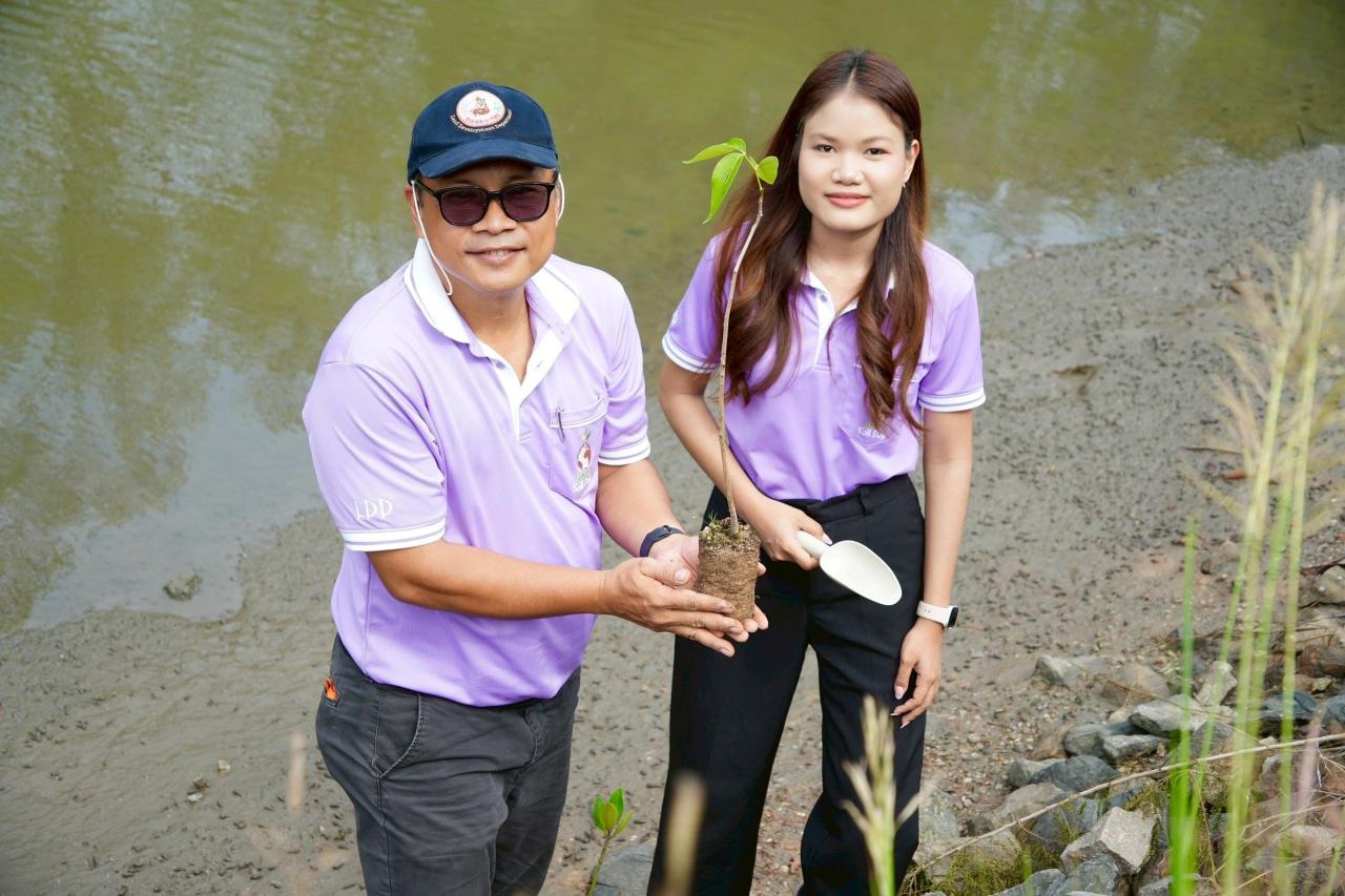 ภาพประกอบที่ 7