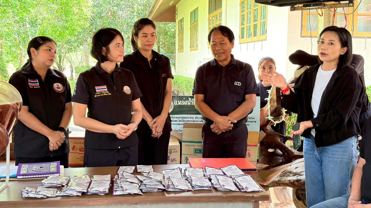 ภาพประกอบที่ 3