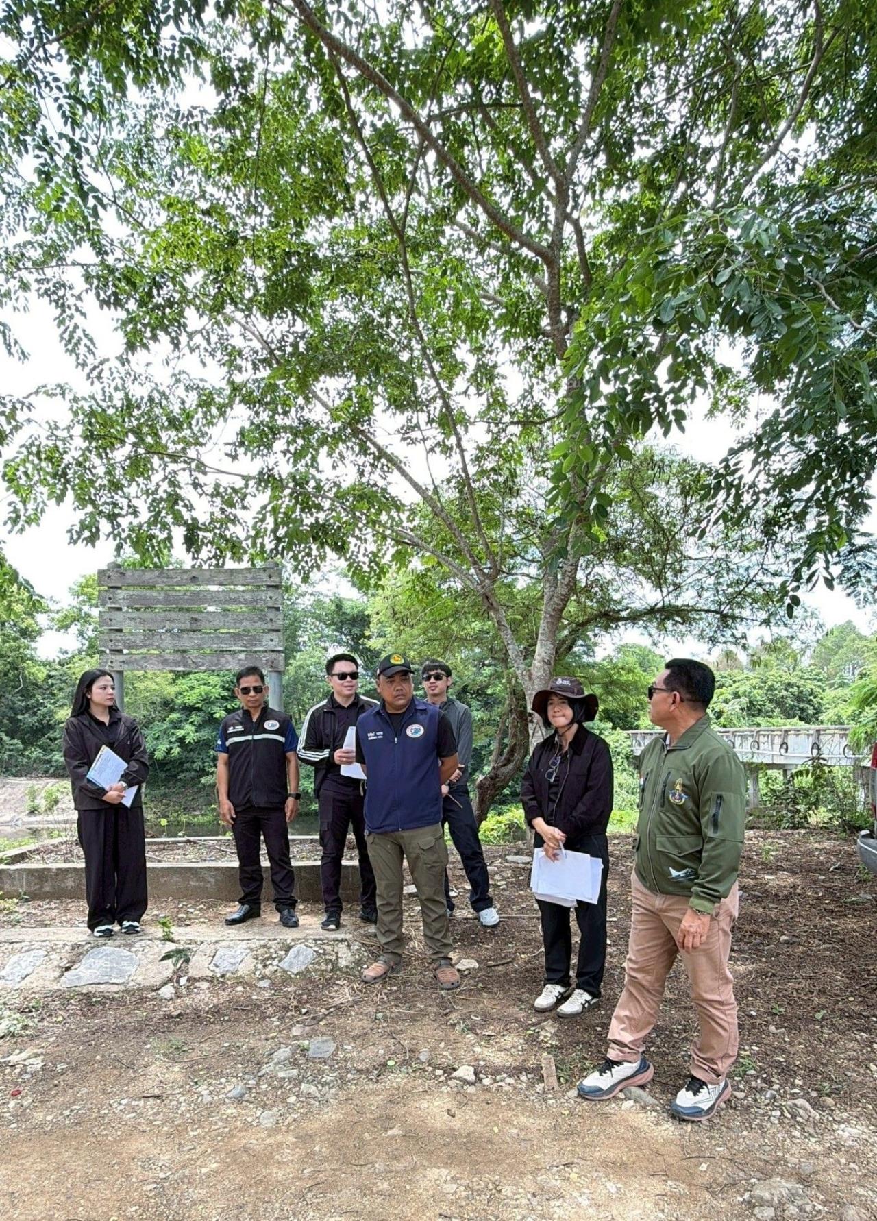 ภาพประกอบที่ 0