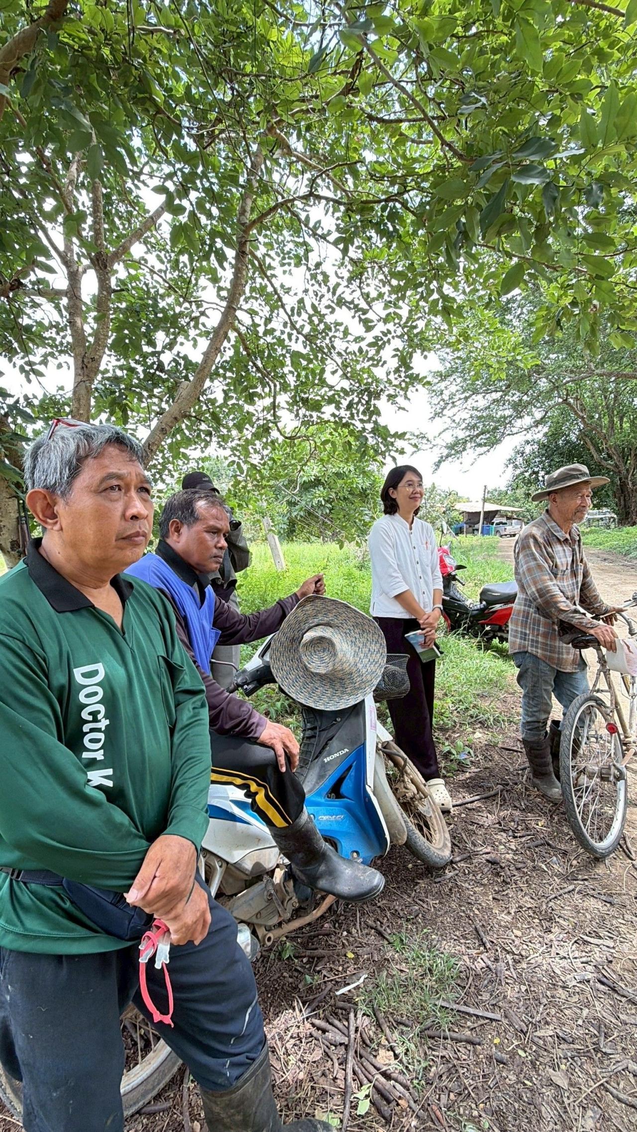 ภาพประกอบที่ 1