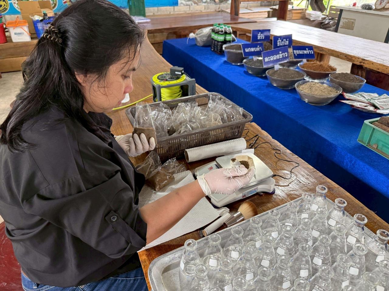 ภาพประกอบที่ 4