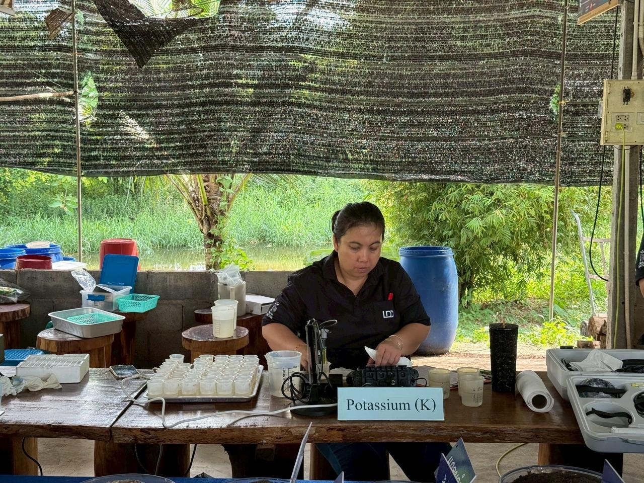 ภาพประกอบที่ 12