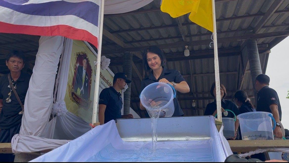 ภาพประกอบที่ 3