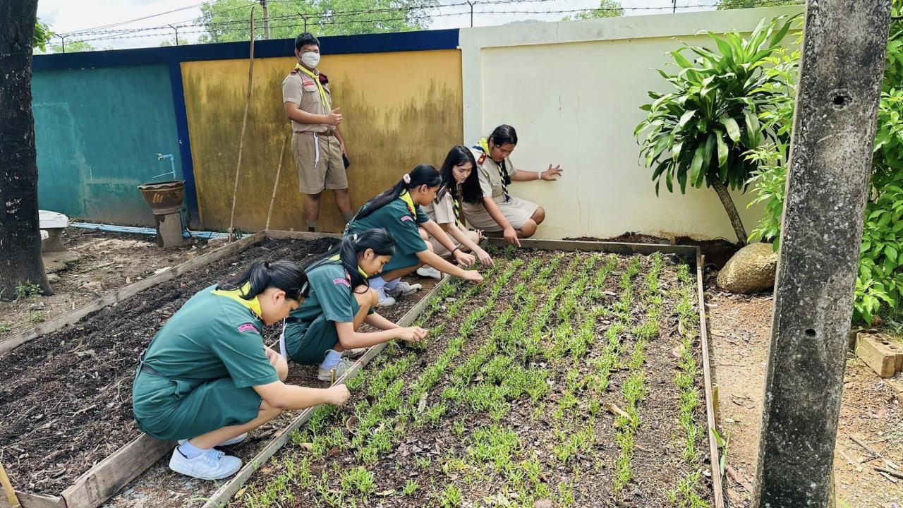 ภาพประกอบที่ 0