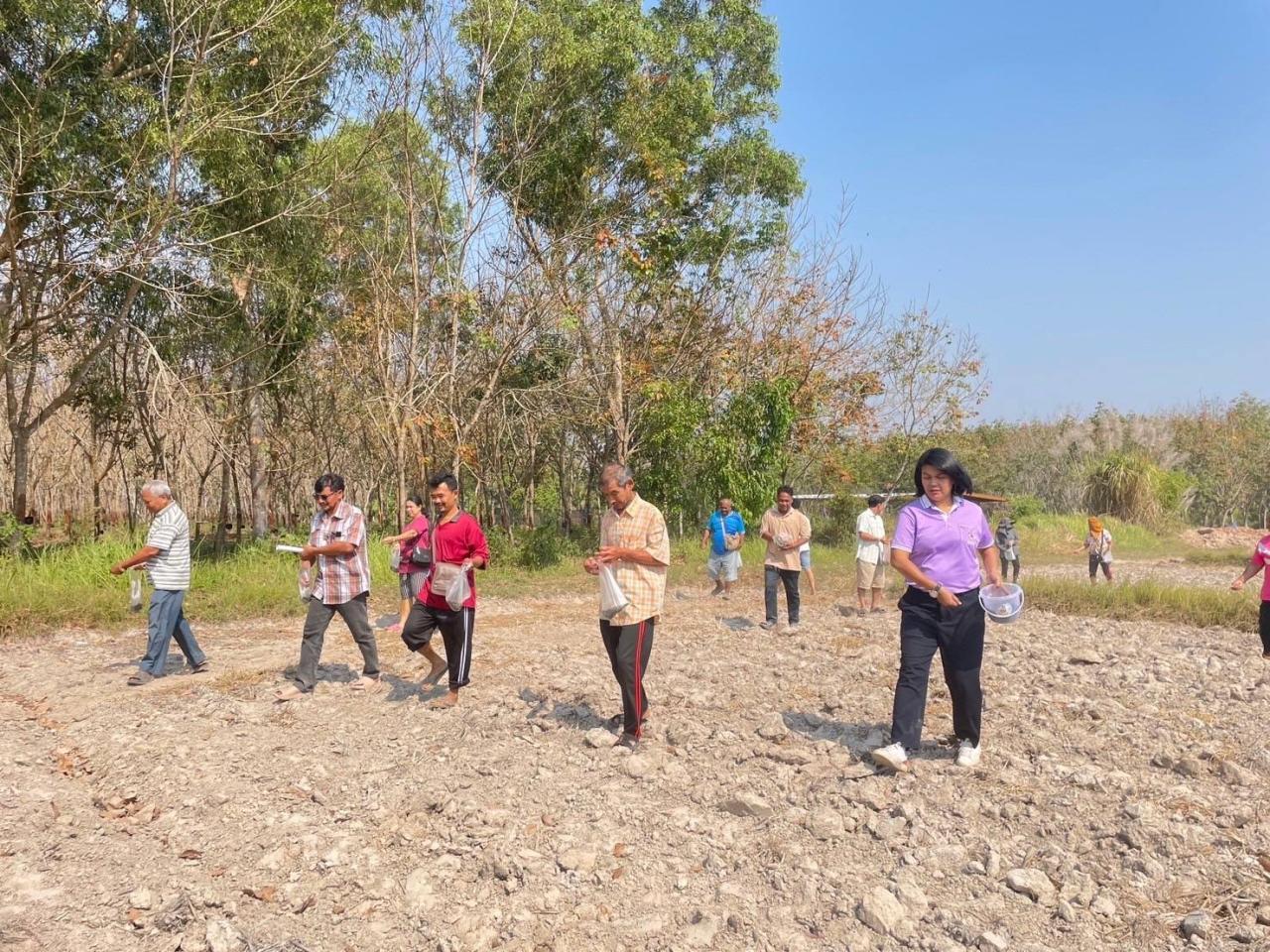 ภาพประกอบที่ 6