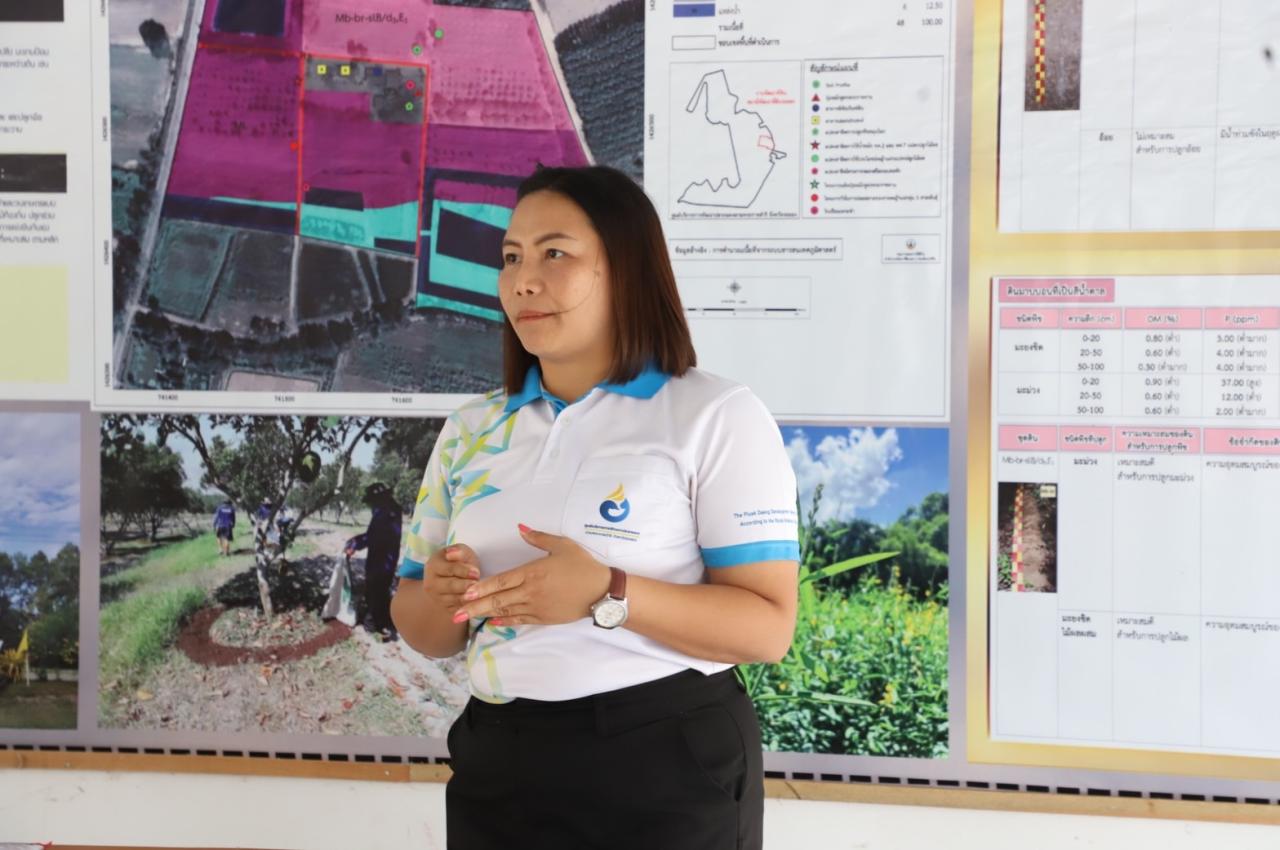 ภาพประกอบที่ 0