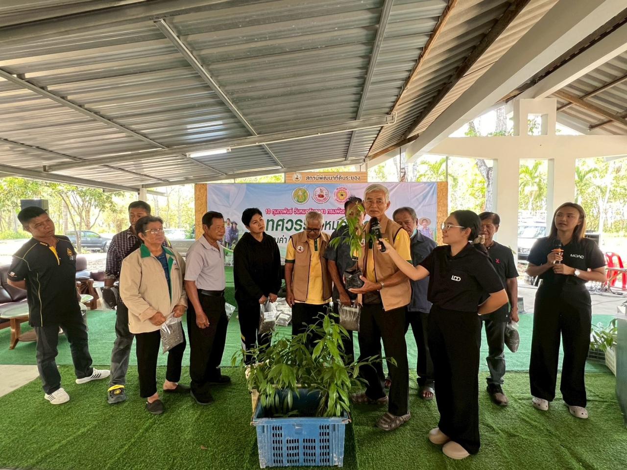 ภาพประกอบที่ 6