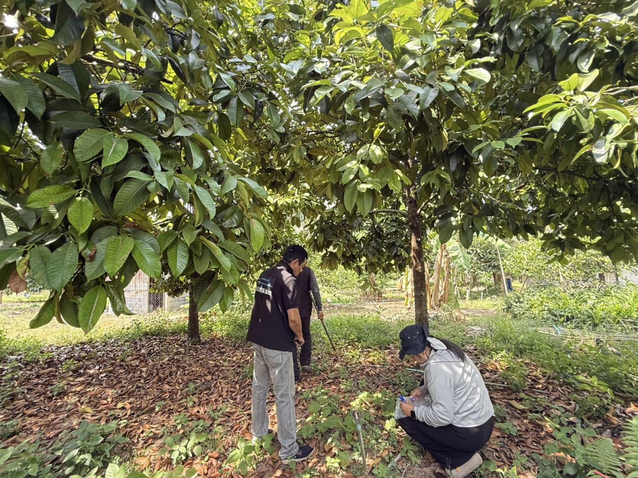 ภาพประกอบที่ 0