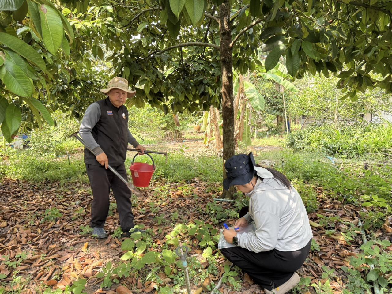 ภาพประกอบที่ 1