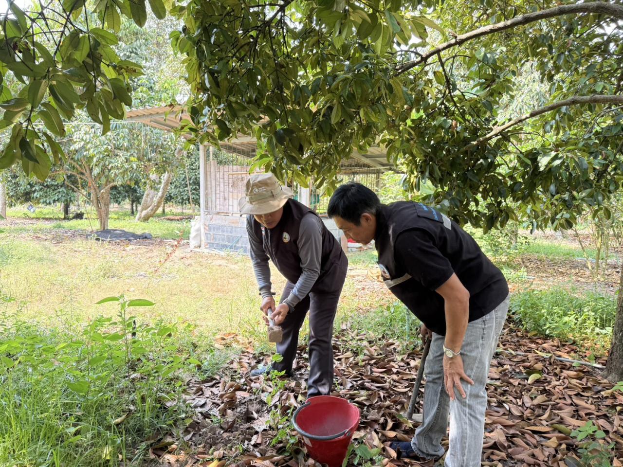 ภาพประกอบที่ 4