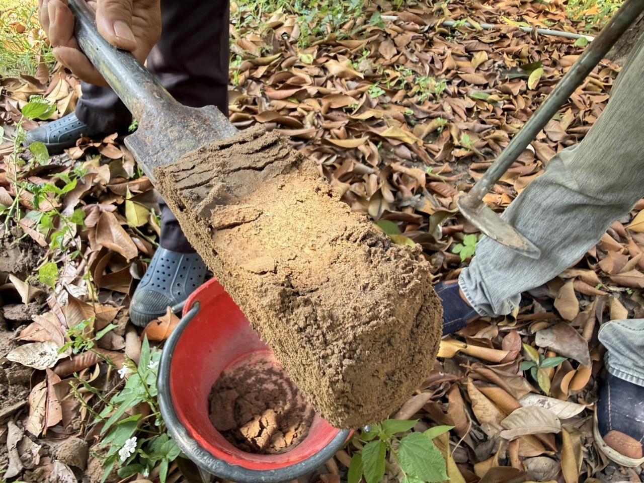 ภาพประกอบที่ 5