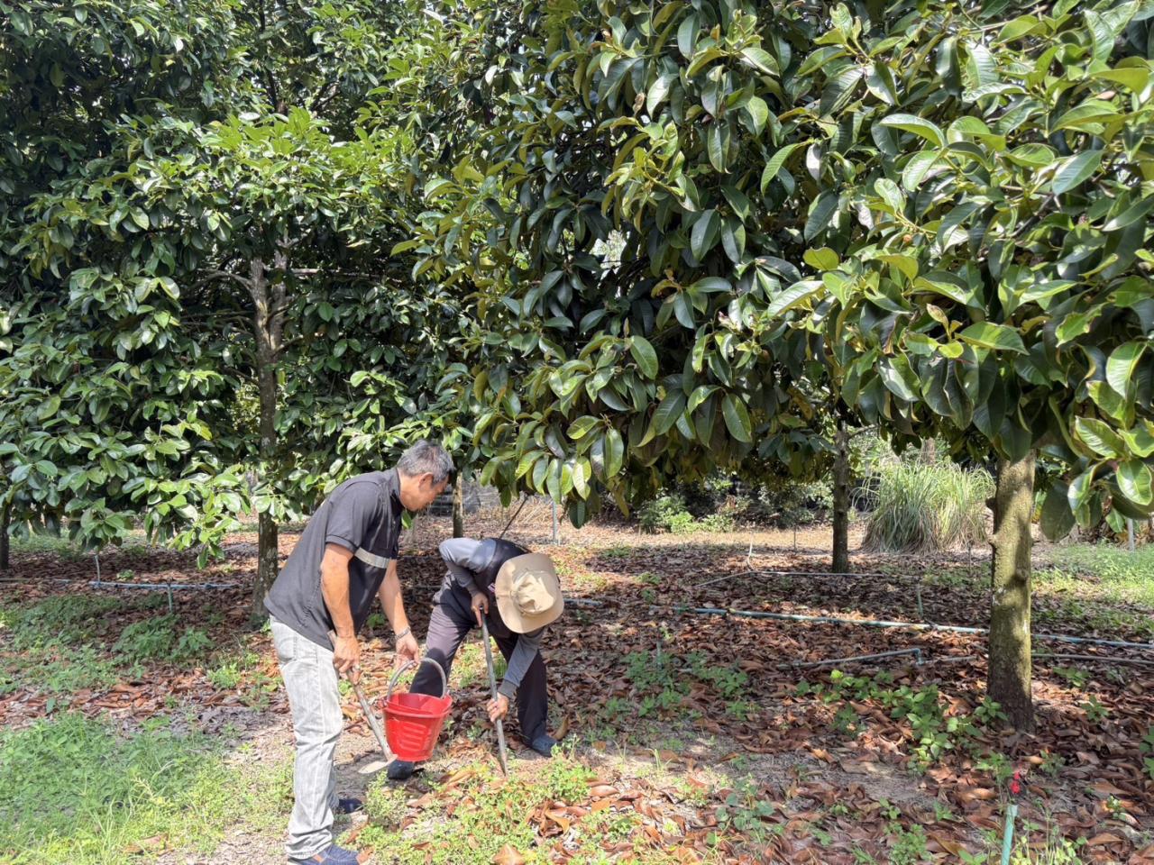 ภาพประกอบที่ 6