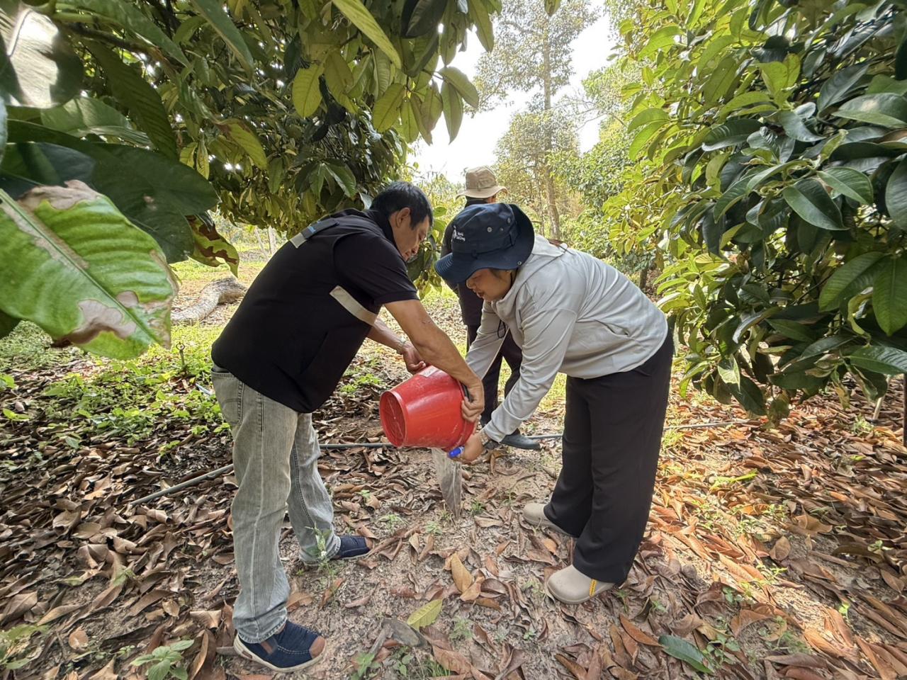 ภาพประกอบที่ 7