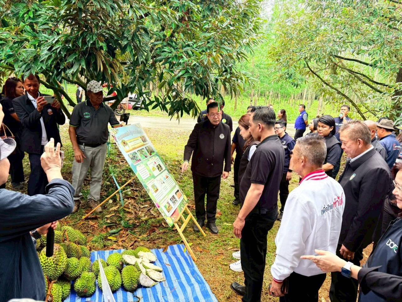 ภาพประกอบที่ 10