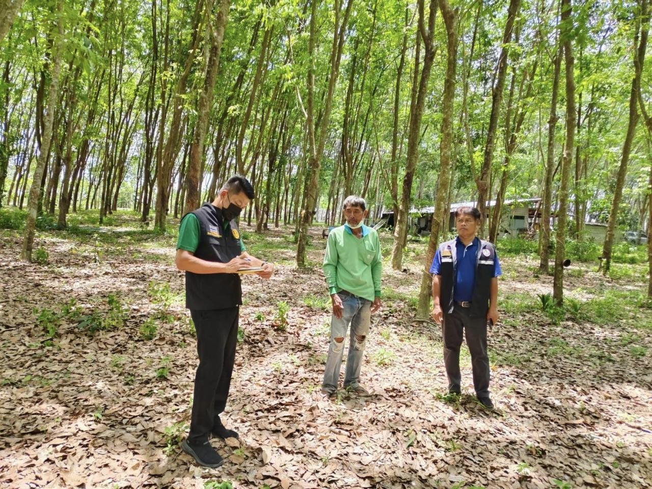 ภาพประกอบที่ 1