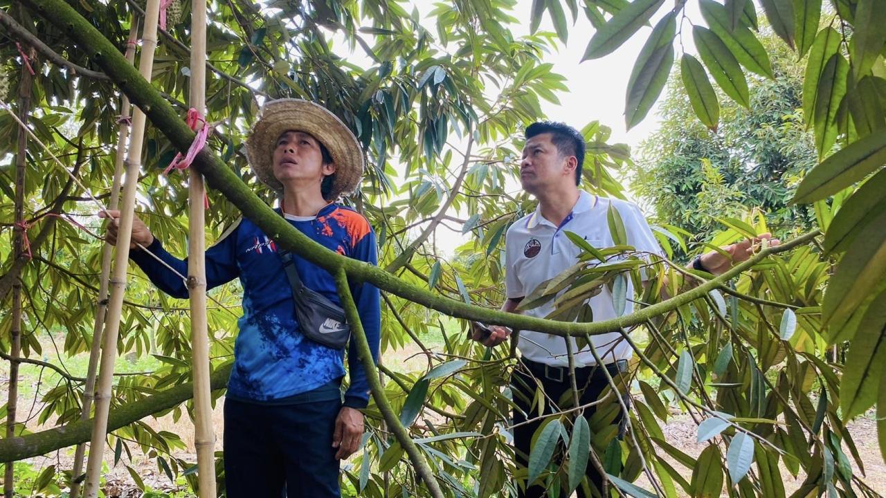 ภาพประกอบที่ 1