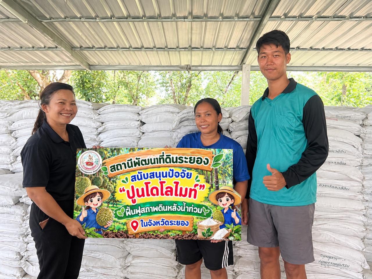 ภาพประกอบที่ 6