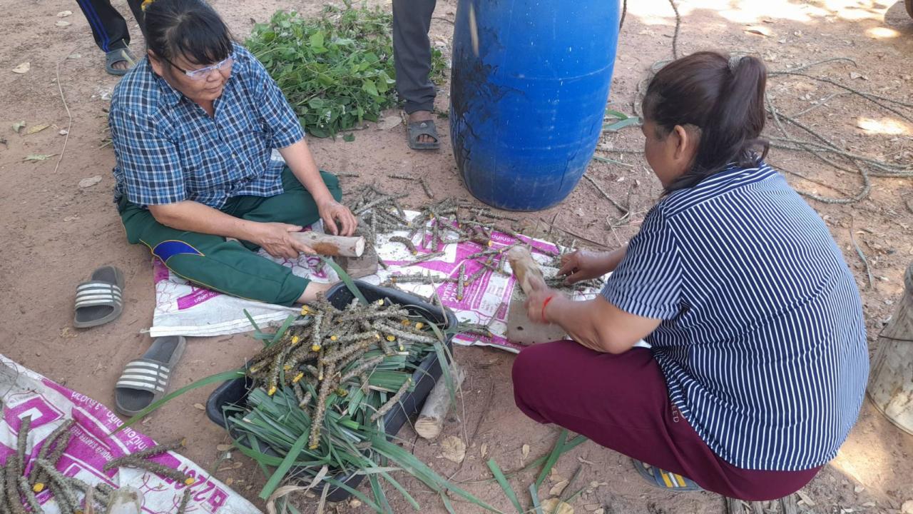 ภาพประกอบที่ 3