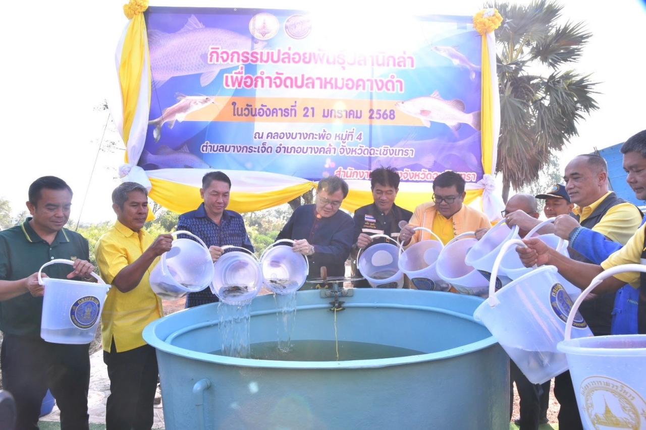 ภาพประกอบที่ 0