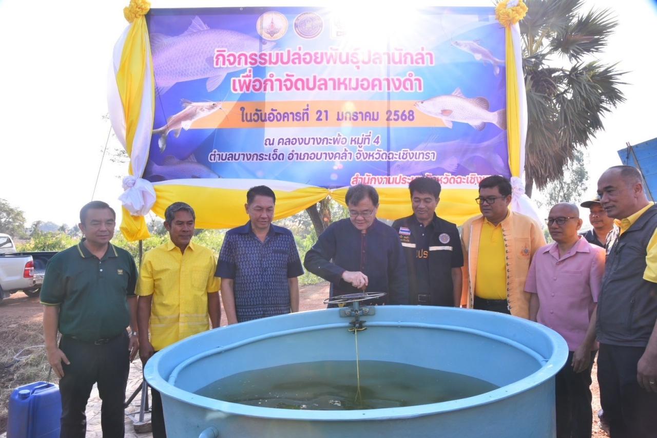 ภาพประกอบที่ 1