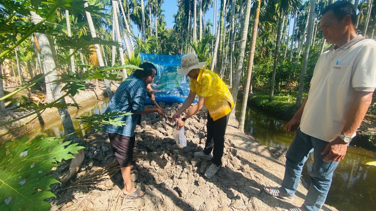 ภาพประกอบที่ 1