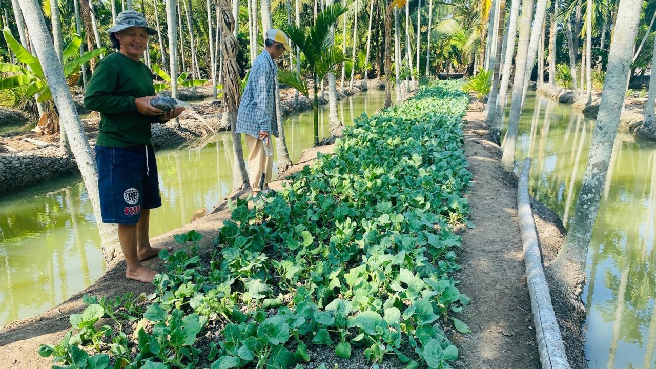 ภาพประกอบที่ 4